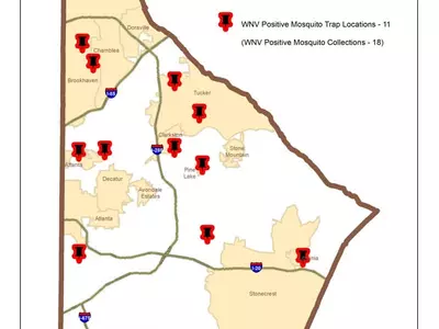 디캡서 올해 첫 웨스트 나일 모기 발견