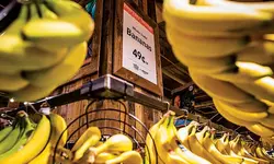 “아마존, 식품점 통로도 지배하기 원한다”