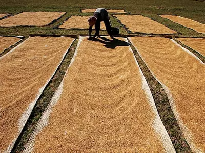 기후변화로 위협받는 지구의 식품 공급