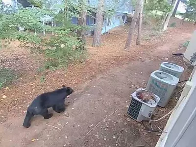 "경찰서도 안 무서워요"