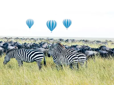 장엄한 미지의 대륙, 거부할 수 없는 자유를 찾아