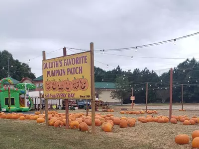 한인타운 곳곳서도 '잭오랜턴' 호박 등장