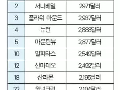 팔로알토, 할리데이 소비 전국 ‘최고’