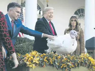 트럼프 대통령, 터키 사면식