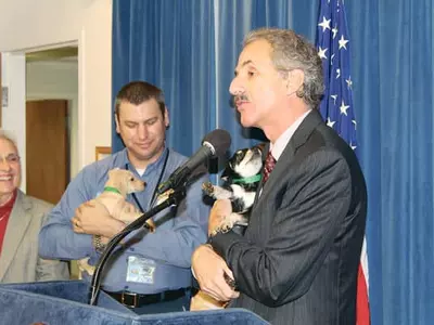 반려견 팝니다” 온라인 사기 기승