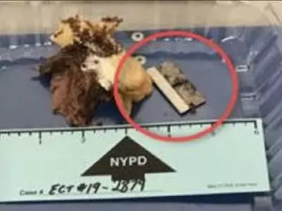 샌드위치 먹다가 면도칼이…