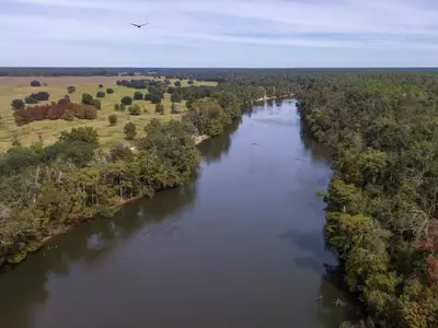 조지아-플로리다 물전쟁 일단 조지아 승