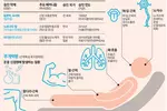 가장 잔인한 병, 루게릭…“혈액으로 병 진행 예측가능”