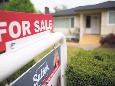 올 한해 큰 변동 없이 꾸준한 성장세 유지