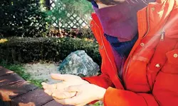 손발이 지속적으로 저리다면...디스크 등 말초신경계 의심을