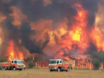 호주 최악 산불…‘국가비상사태’ 선포