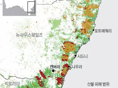 호주산불, 서울의 100배 태웠다