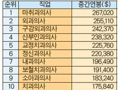 마취과의사 평균 26만7천달러 1위