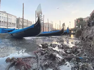 이번엔 바닥 드러낸 베네치아