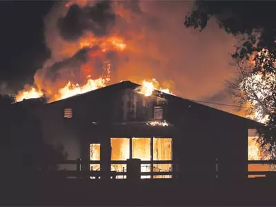 산불피해 우려·보험료 인상·갱신 거부‘죽을맛’