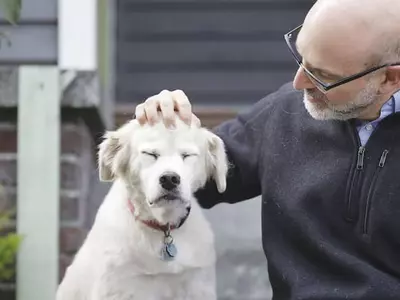 사전 병력은 커버 안돼, 가입 전 꼭 검진을