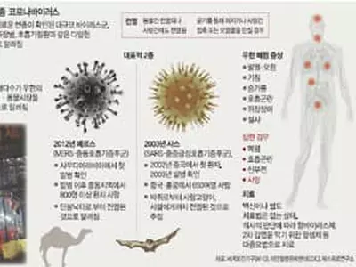 ‘우한 폐렴’ 창궐 직전 단계…제2의 사스 공포