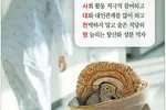 일상 속 치매 예방하려면…‘진인사대천명’지켜라!