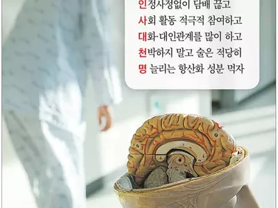 일상 속 치매 예방하려면…‘진인사대천명’지켜라!