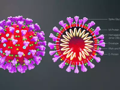 코로나 바이러스 백신은 언제쯤 맞을 수 있을까