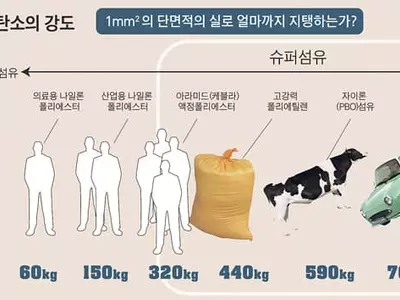 탄소섬유 1㎟에 700kg 자동차도 매달 수 있어요