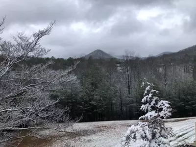 조지아 일부 지역, 눈내려
