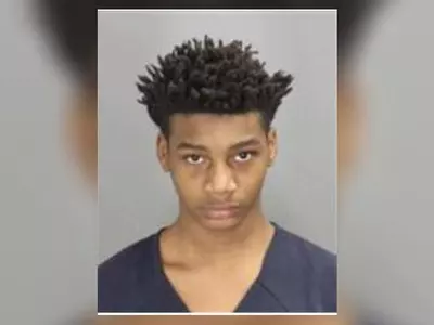 10대 소년 살인 용의자, 미시간주에서 체포