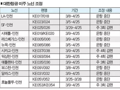 대한항공 미주노선 중단·감축