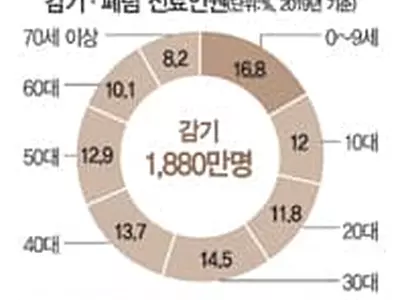 가벼운 증상→심한 폐렴 많아… 고령 감염땐‘위험’