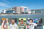 “홈구장 직원 위해 기부”…NBA 넘어 NHL·MLB로