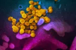 CDC "젊은층도 코로나19로 위중해질 수 있어"
