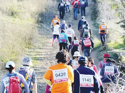 하루 10분 빨리 걷기만 해도… 관절염 환자의 일상 바꾼다