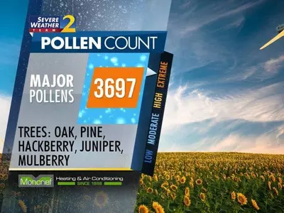 애틀랜타 '꽃가루" 기승