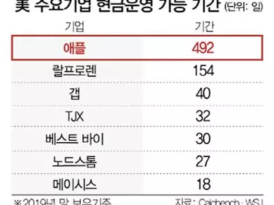‘300조 현금부자’ 애플, 아이폰 안팔아도 492일 버틴다