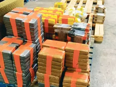 샌디에고 국경 땅굴서 압류한 마약들