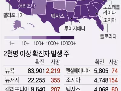 미국 코로나19 환자 20만명 돌파…13일 만에 20배로 급증