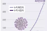 미 코로나 하루 사망자 최고치…트럼프, WHO 자금지원 보류 검토