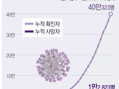 미 코로나 하루 사망자 최고치…트럼프, WHO 자금지원 보류 검토