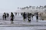 서부 봄 더위로 해변에 수만 명 인파…보건당국 긴장