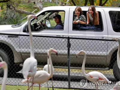 '드라이브 스루'로 운영되는 미국 동물원