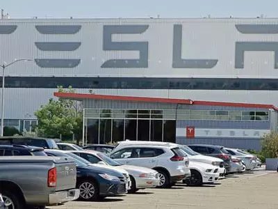 북가주 테슬라 공장, 가동재개 강행