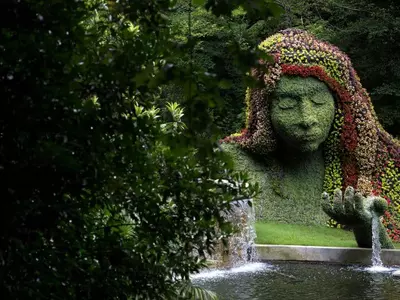 애틀랜타 동물원·식물원 재개장 발표