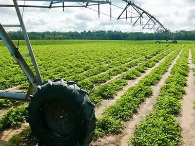 귀넷, ‘조지아 그로운 투 고’ 시장 개최 예정