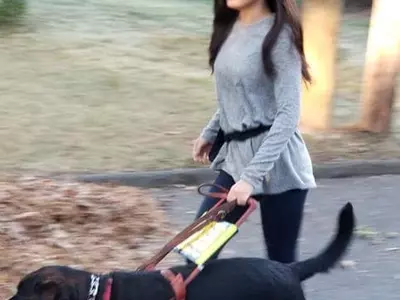 "긍정의 힘"…시각장애 한인여고생 프린스턴·하버드 합격