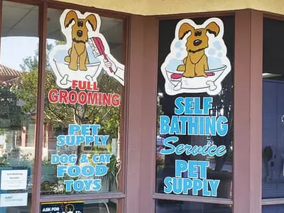 예방접종 기록, 마이크로 칩 번호, 최근 사진 챙기기