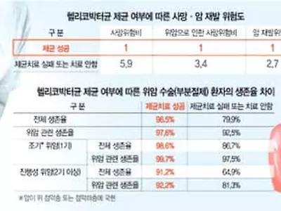 위암 사망·재발 줄이려면 헬리코박터균 잡아라