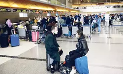 살균기 꼭 챙기고 경유보다 논스톱으로