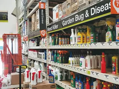 뿌리째 뽑지 않으면 근절할 수 없다