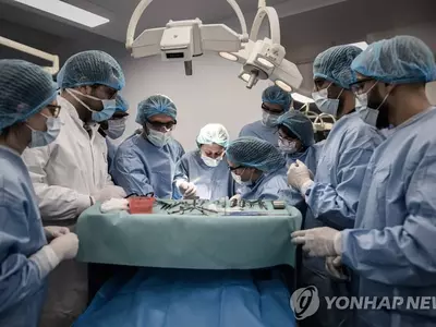 의대 창고 연구용시신 수천구, 쥐가 파먹고 쓰레기봉투에