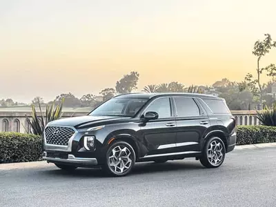 2021 팰리세이드‘캘리그리피 트림’나왔다